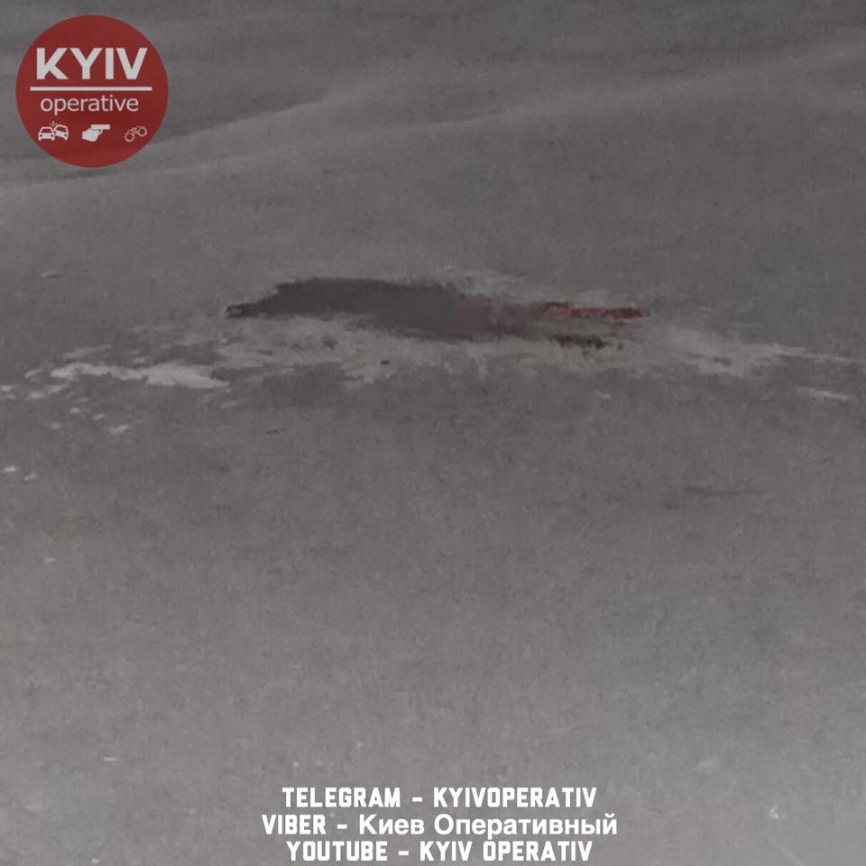 У Києві п'яна бабця впала під колеса автобуса