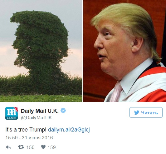 В британском пригороде обнаружили дерево-копию кандидата в президенты США