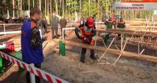 На Київщині пройшли змагання лісорубів
