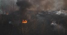 Димом затягнуло весь район: у Дніпрі сталася масштабна пожежа (відео)