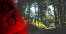 Друзі щось недоговорюють: у лісі під час пікніку загадково зник 23-річний парубок (відео)