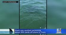 Акула-людожер 15 хвилин кружляла навколо човна з дітьми (відео) 