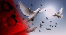 У Кривому Розі помстилися проповіднику: живцем згоріли елітні голуби (відео)