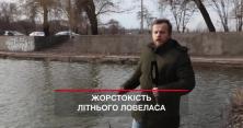 На Дніпропетровщині у ставку знайшли жіноче тіло без кінцівок та голови (відео)