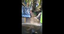 У Польщі підлітки в автобусі відгамселили до напівсмерті водія-українця: він лише попросив їх не пиячити (відео)