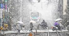 У лікарнях сотні постраждалих від 9 до 99 років: у Токіо вперше за 4 роки випав сніг і накоїв лиха (відео)