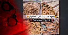 Гроші текли рікою: у Дніпрі в’язень провернув аферу на мільйон, продаючи міфічні дрова (відео)