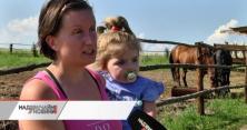 Диво-ферма під Львовом: тут живуть тварини, яких врятували від м’ясників (відео)
