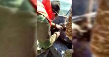 Прикордонники врятували дельфіна із сіток браконьєрів (відео) 