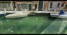 У Венеції безлюдні канали стали чистими (відео) 