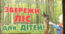 На Вінниччині вирубали дерева на 100 тисяч гривень (відео)