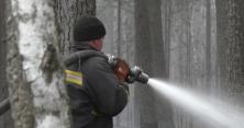 У Житомирській області локалізовані дві лісові пожежі (відео) 