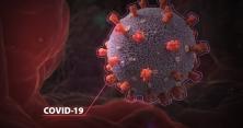 Як коронавірус вбиває людей: створена візуалізація атаки (відео) 