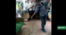У Джакарті хлопець ​​упіймав змію голими руками в транспорті