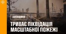 У Чорнобильську зону на масштабну пожежу з’їхались рятувальники з Києва і ще 6 областей (відео)