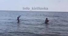 На Азовському морі курортники почали використовувати медуз як м’ячі (відео)
