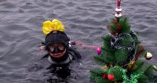 Як київські дайвери під водою Новий рік святкували (відео)