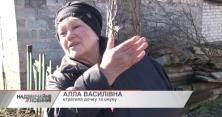 Вбивство родини на Житомирщині: загибла дівчина напередодні писала скарги до поліції (відео)