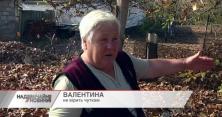 У Семенівці пенсіонерку до смерті покусав невідомий звір (відео)