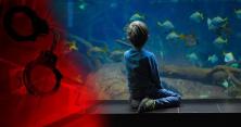 Жахлива трагедія у Дніпрі: в аквапарку потонув 9-річний хлопчик, коли мати відійшла до бару (відео)