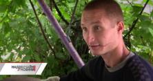 На Дніпропетровщині правоохоронці зламали руку свідку по кримінальній справі (відео)