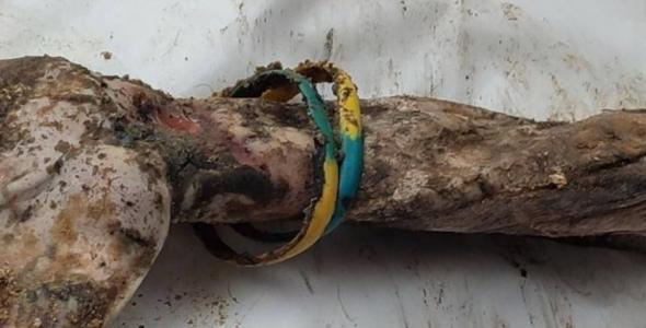 Масові поховання та камера тортур в Ізюмі: спливають нові шокуючі подробиці та відео