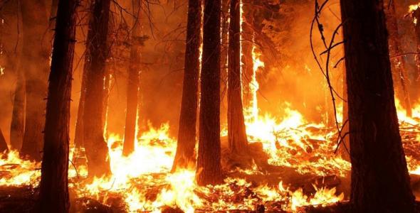 Одесу затопить, річки висохнуть, ліси згорять: як зміни клімату знищують Україну