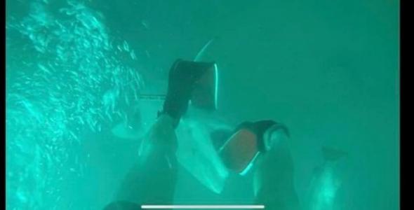 Дайвер ногами відбився від акули, яка напала на нього (відео) 